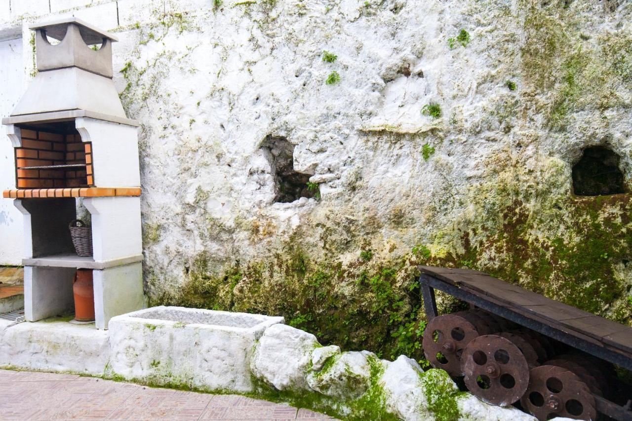 엘보스크 Hacienda El Molino 빌라 외부 사진